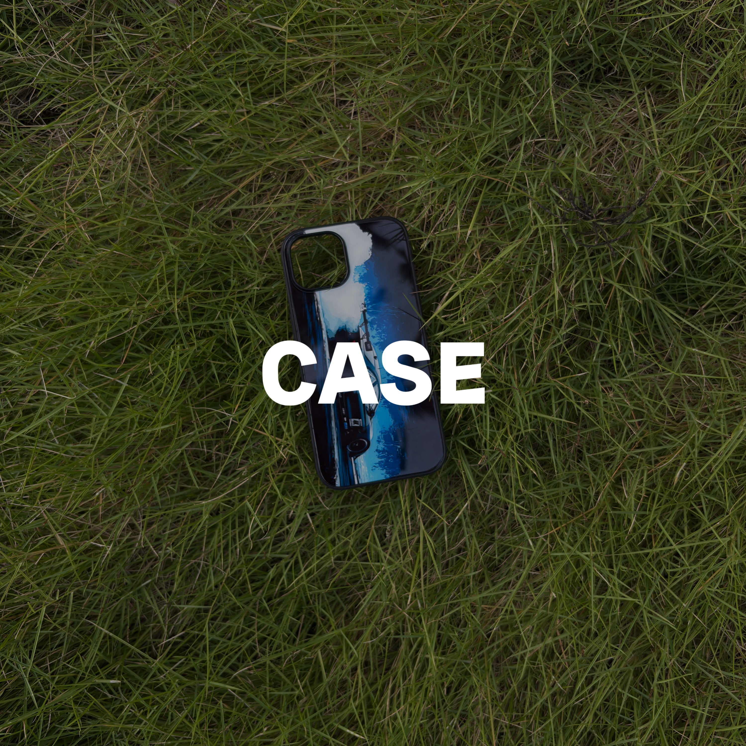 Case